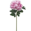 BRANCHE PIVOINE H.70CM FUCHSIA