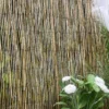 BRISE VUE ROSEAUX 150X300CM