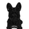 BULLDOG NOIR H.22CM