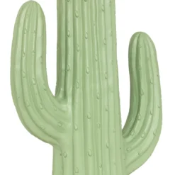 CACTUS EXTERIEUR MILO H.75CM