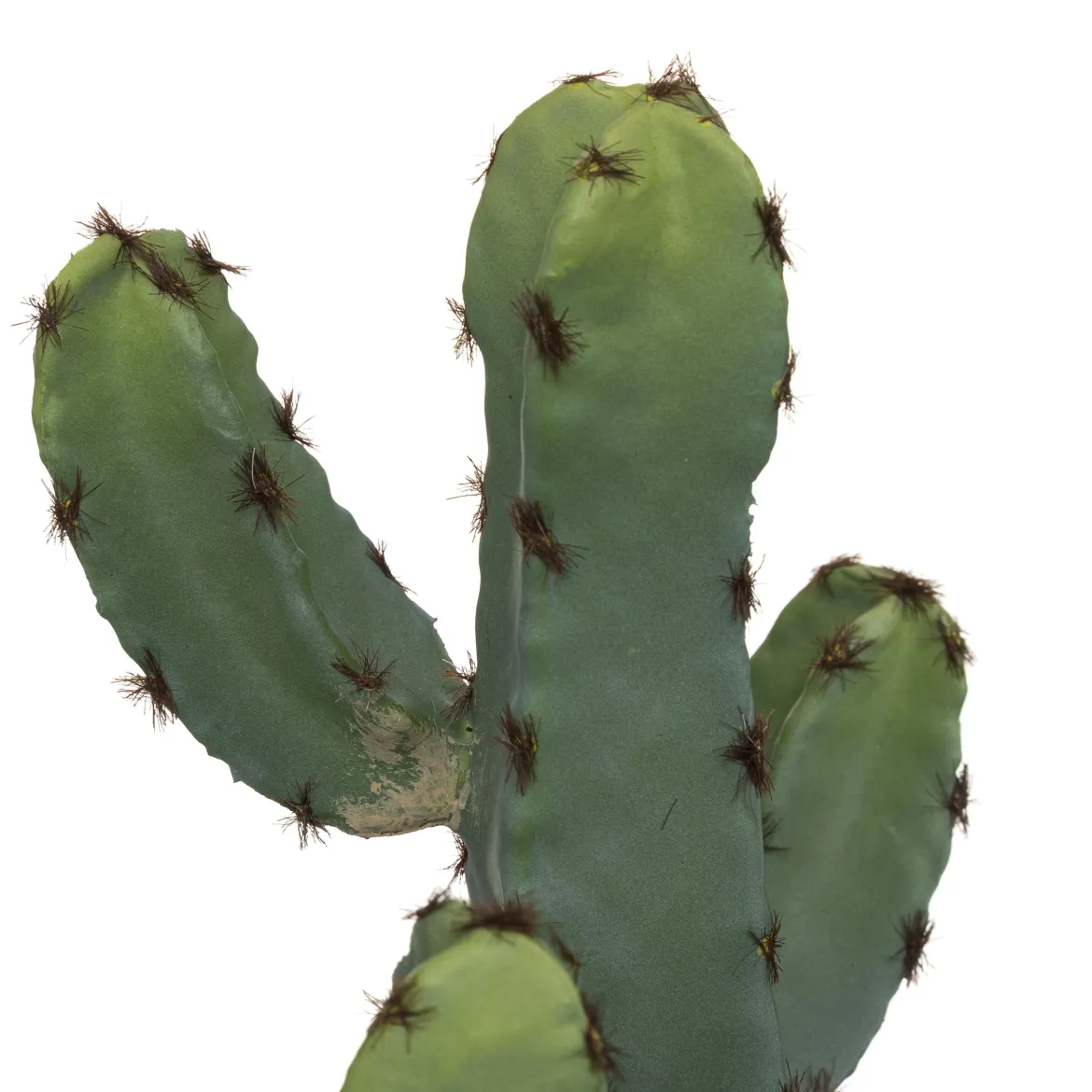 CACTUS POT CERAMIQUE EFFET TERRACOTTA H.24CM