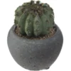 CACTUS POT CIMENT NOIR D.6.5CM