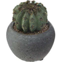 CACTUS POT CIMENT NOIR D.6.5CM