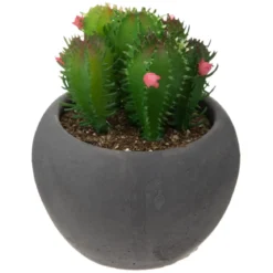 CACTUS POT CIMENT NOIR D.6.5CM