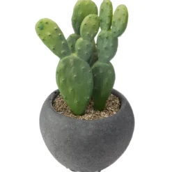 CACTUS POT CIMENT NOIR D.6.5CM