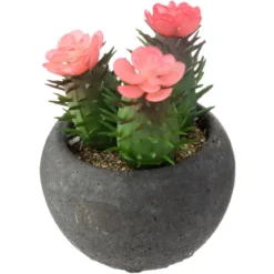CACTUS POT CIMENT NOIR D.6.5CM