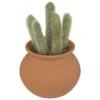 CACTUS POT TERRACOTTA H.16.5CM