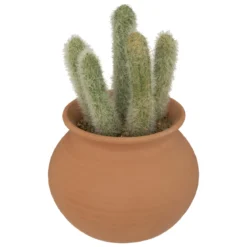 CACTUS POT TERRACOTTA H.16.5CM