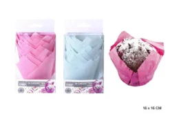 CAISSETTE TULIPE COULEUR 16X16CM X24PCS
