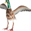 CANARD METAL 58X28X40CM