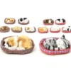 CHIEN CHAT DANS PANIER 10 CM