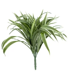 CHLOROPHYTUM H.42CM PANACHE