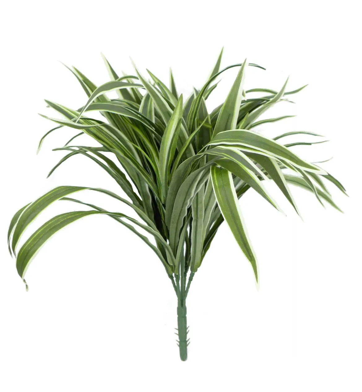 CHLOROPHYTUM H.42CM PANACHE