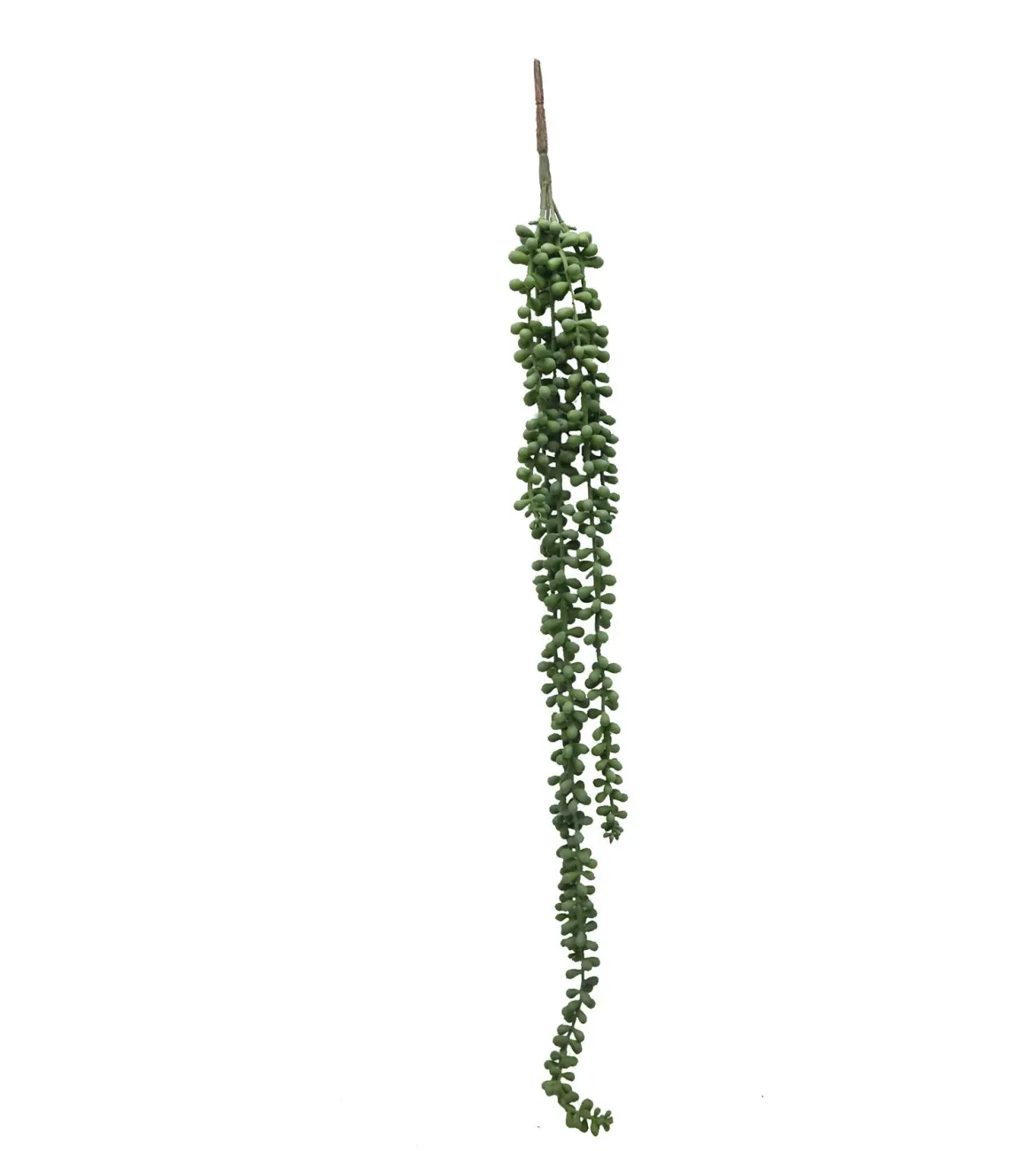 CHUTE RETOMBANTE SENECON H.78CM