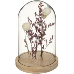 CLOCHE FLEUR SECHEE GYPSOPHILE H.17CM