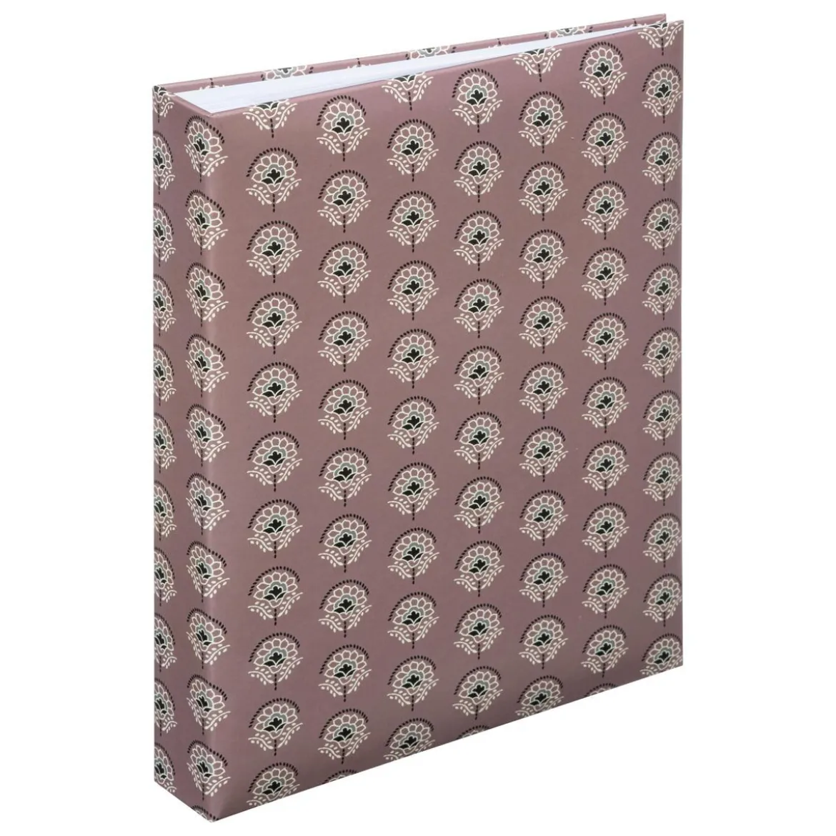COFFRET ALBUM 360 PHOTOS LUMIERE D HIVER