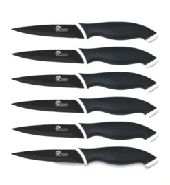 COFFRET 6 COUTEAUX LAMES ANTI ADHERENTES NOIRES