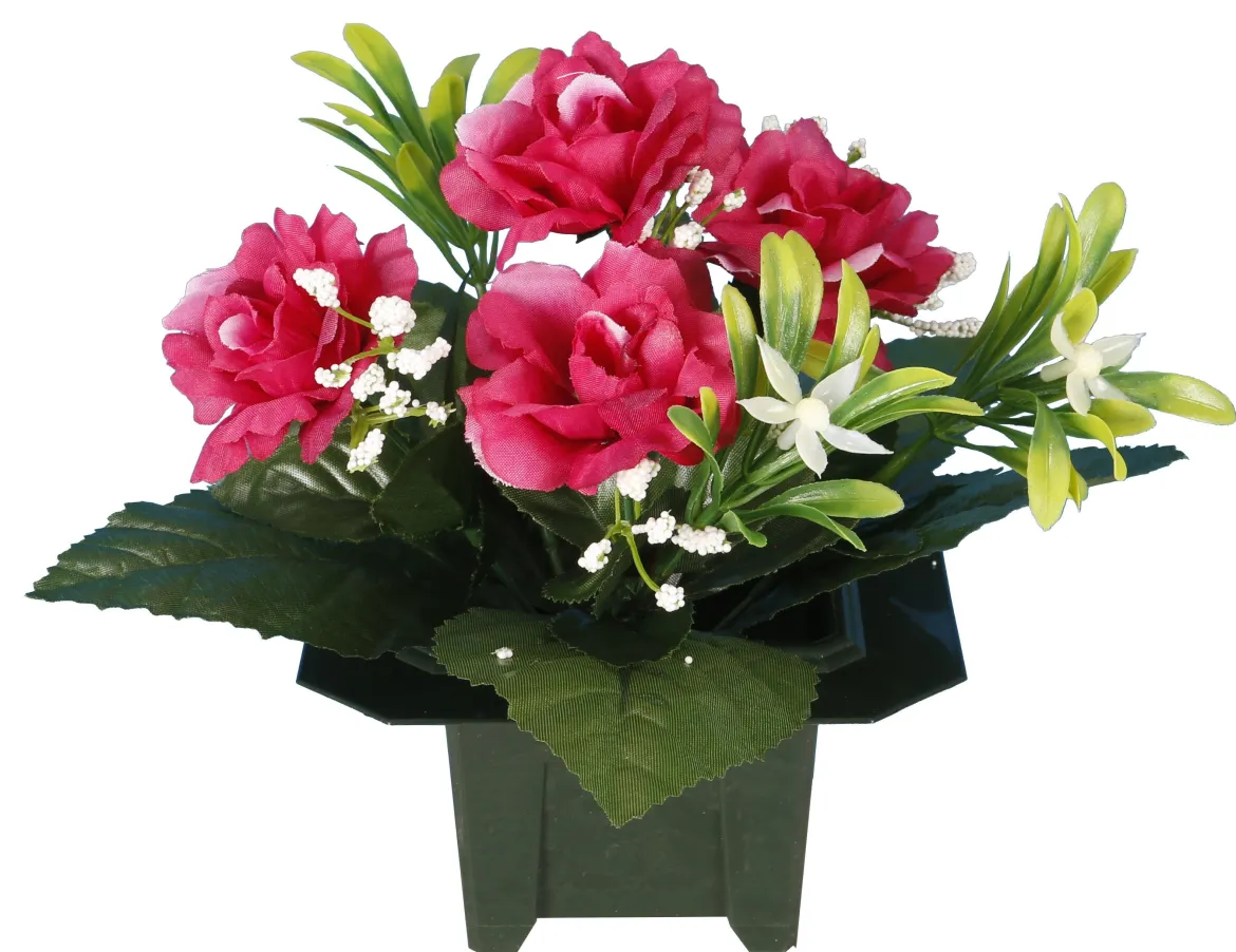 COLUMBARIUM POT DE ROSETTES