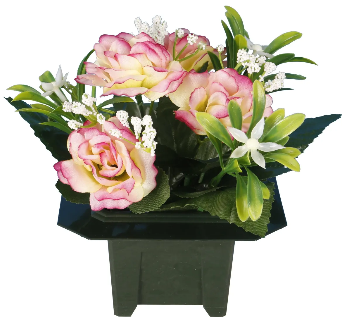 COLUMBARIUM POT DE ROSETTES