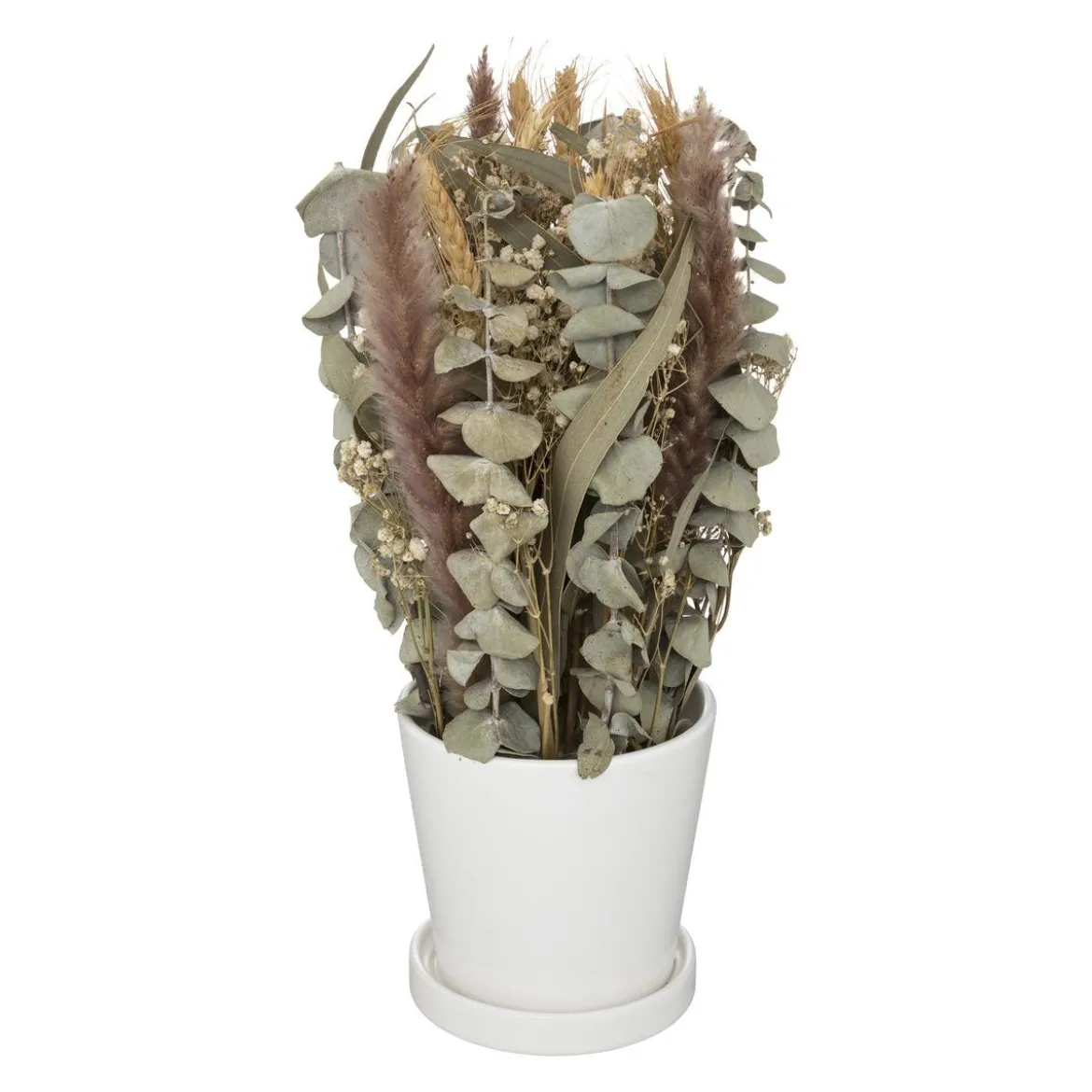 COMPOSITION FLEURS SECHEES POT CERAMIQUE