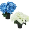 COMPOSITION 7 HORTENSIAS H.40CM 3 COULEURS
