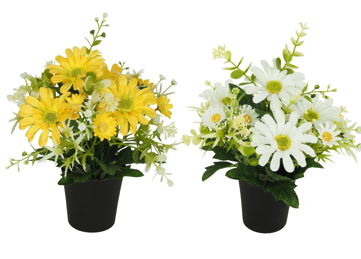 COMPOSITION MARGUERITES ET FEUILLAGE H.25CM 2 COULEURS