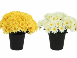COMPOSITION 22 MARGUERITES H.27CM 2 COULEURS