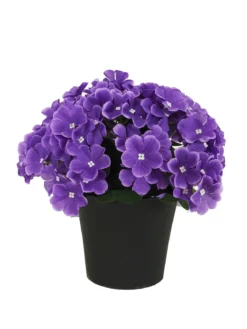 COMPOSITION 22 VIOLETTES H.27CM
