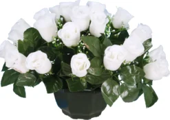 COUPE BOUTON ROSE BLANC H25CM