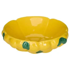 COUPE CERAMIQUE FRUITY D.25CM