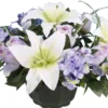 COUPE LYS HORTENSIA
