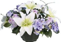 COUPE LYS HORTENSIA