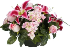 COUPE LYS HORTENSIA