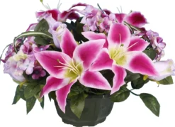 COUPE LYS HORTENSIA
