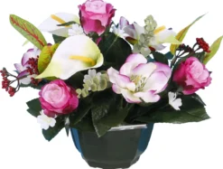 COUPE MAGNOLIA BOUTON ROSE ARUM