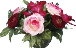 COUPE RENONCULE ROSE GOUTTES EAU