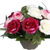 COUPE ROSE GOUTTES EAU
