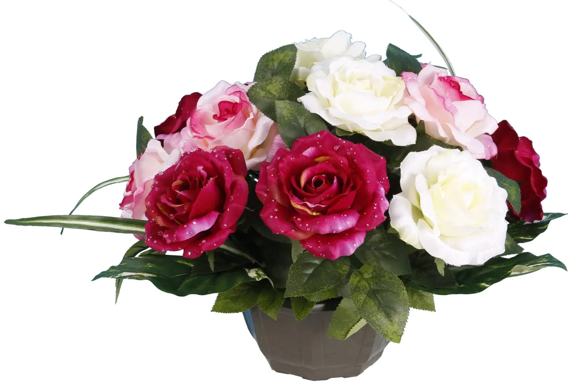 COUPE ROSE GOUTTES EAU