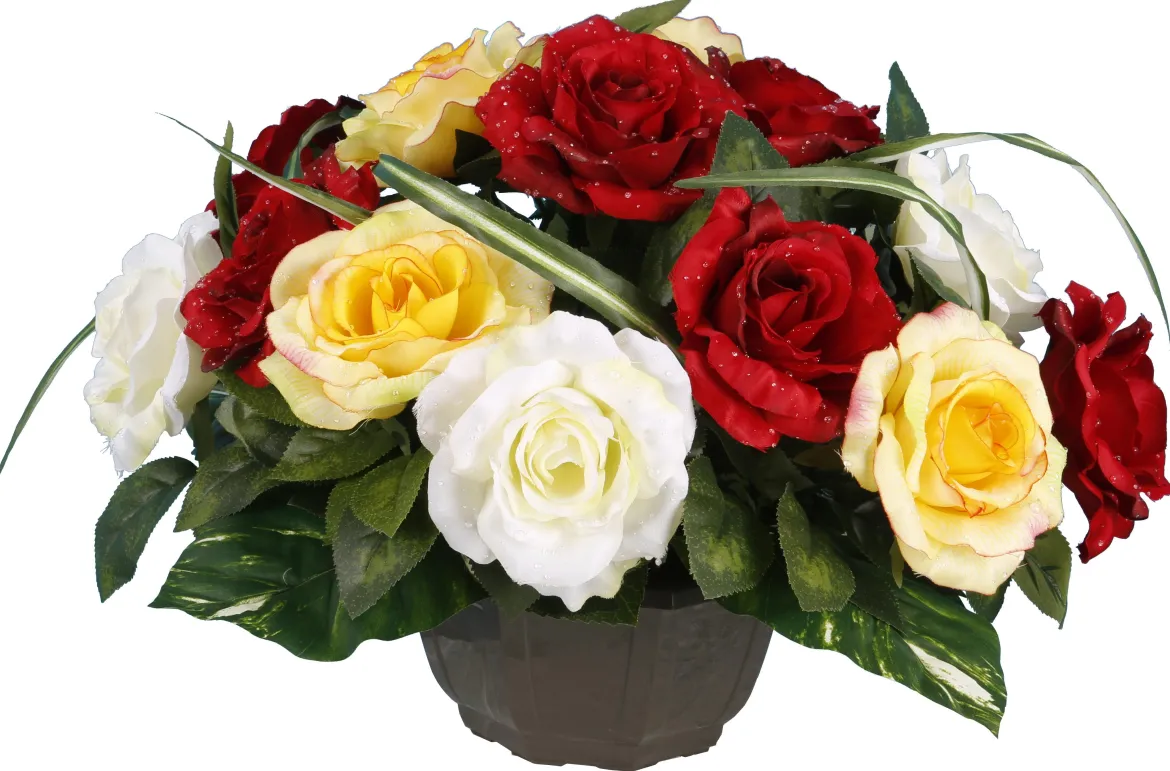 COUPE ROSE GOUTTES EAU