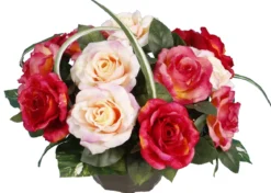 COUPE ROSE GOUTTES EAU