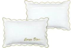 COUSSIN CARPEDIEM ECRU 40X60CM