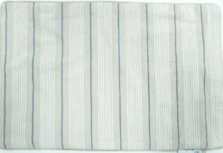 COUSSIN GROOVE RAYE BLEU 38X58CM