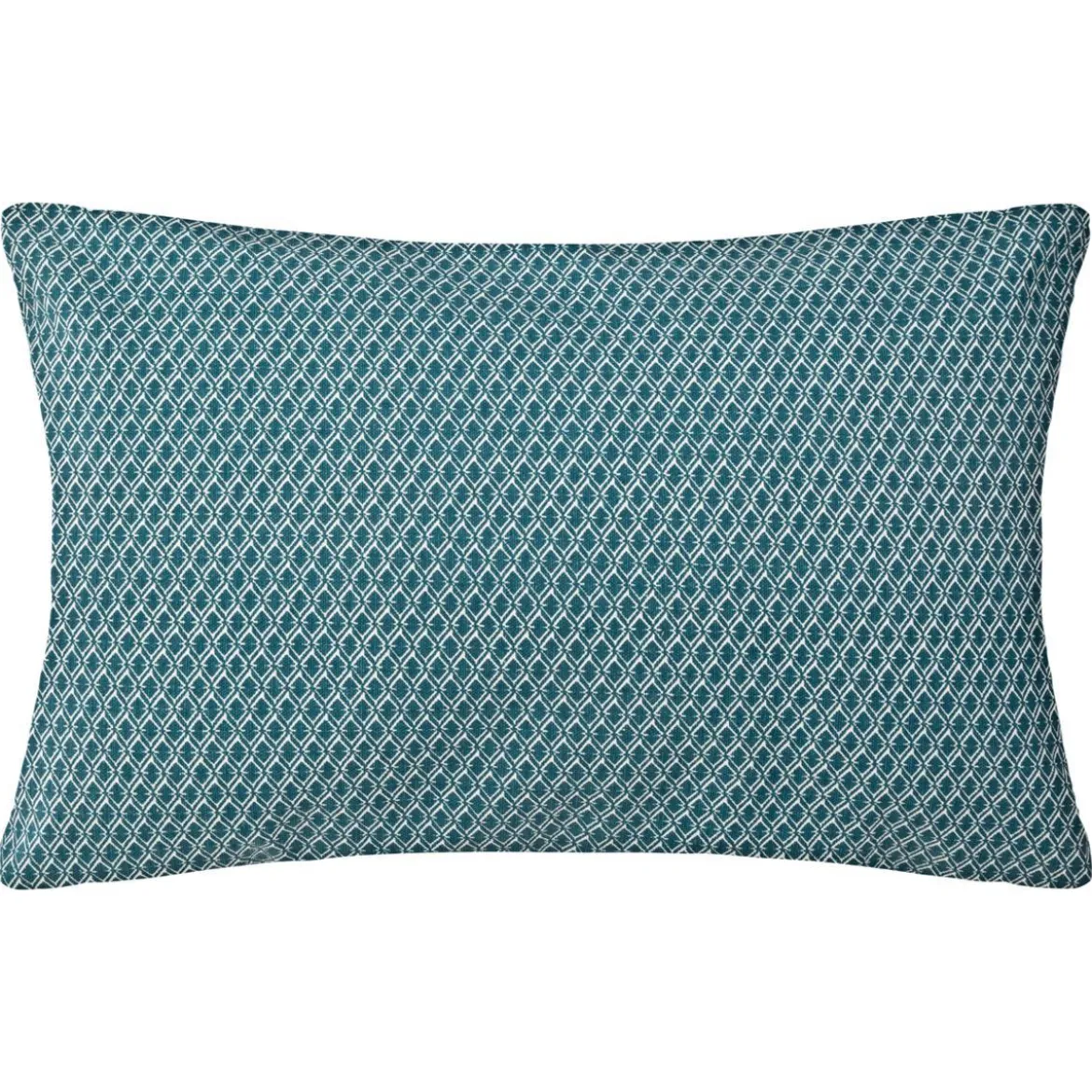 COUSSIN MOTIF OTTO CANARD 30X50CM