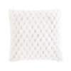 COUSSIN 45X45CM FOURRURE VELOURS FROSTY NATUREL