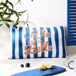 COUSSIN DEPERLANT DOLCE VITA 30X50CM