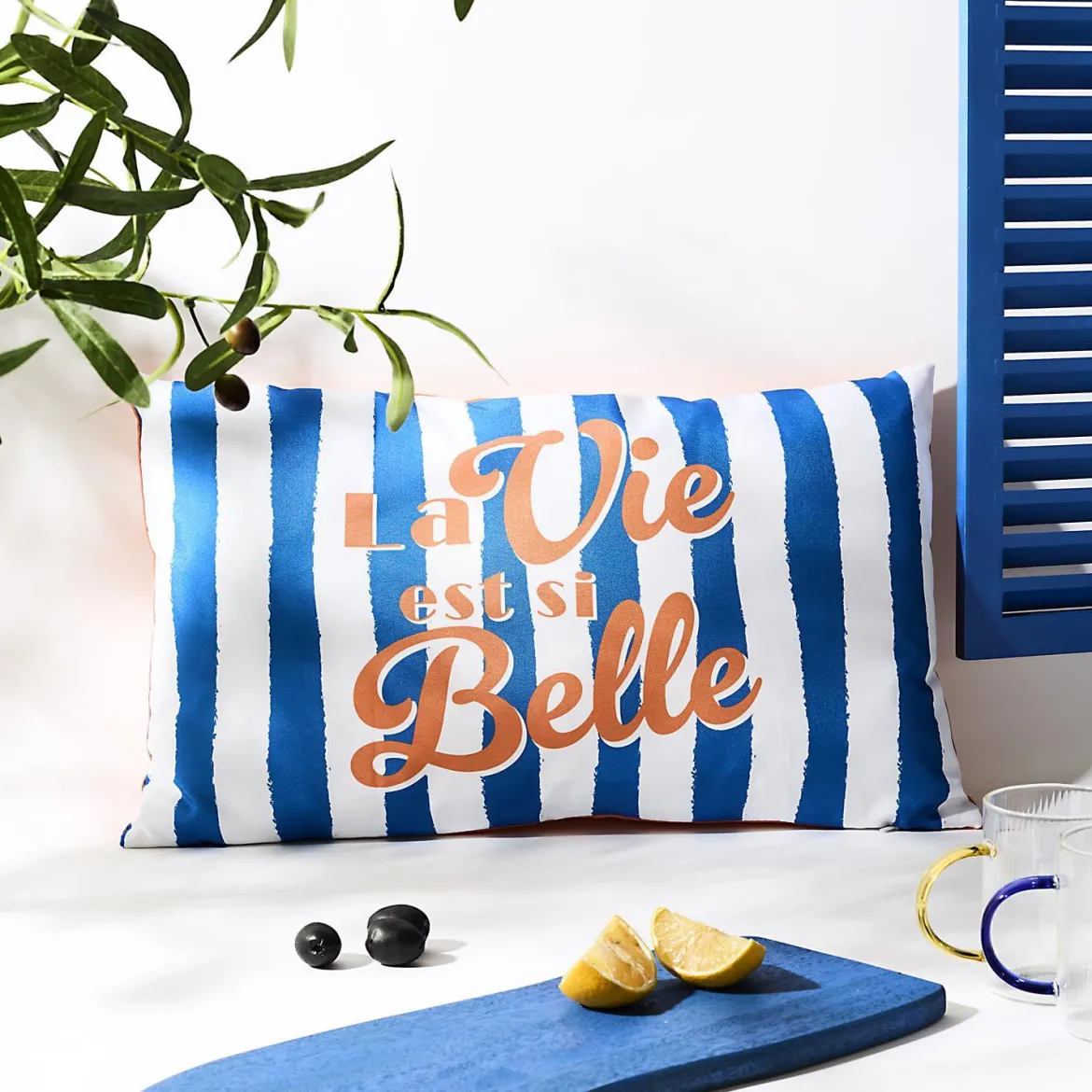 COUSSIN DEPERLANT DOLCE VITA 30X50CM