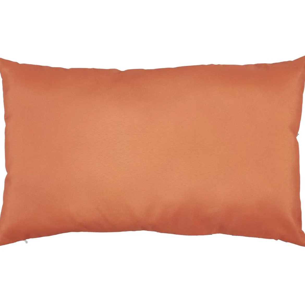 COUSSIN DEPERLANT DOLCE VITA 30X50CM