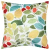 COUSSIN FRUCTOS MULTICOLORE 40X40CM
