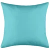 COUSSIN HAWAI 40X40CM AQUA