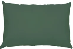 COUSSIN HAWAI 40X60CM VERT